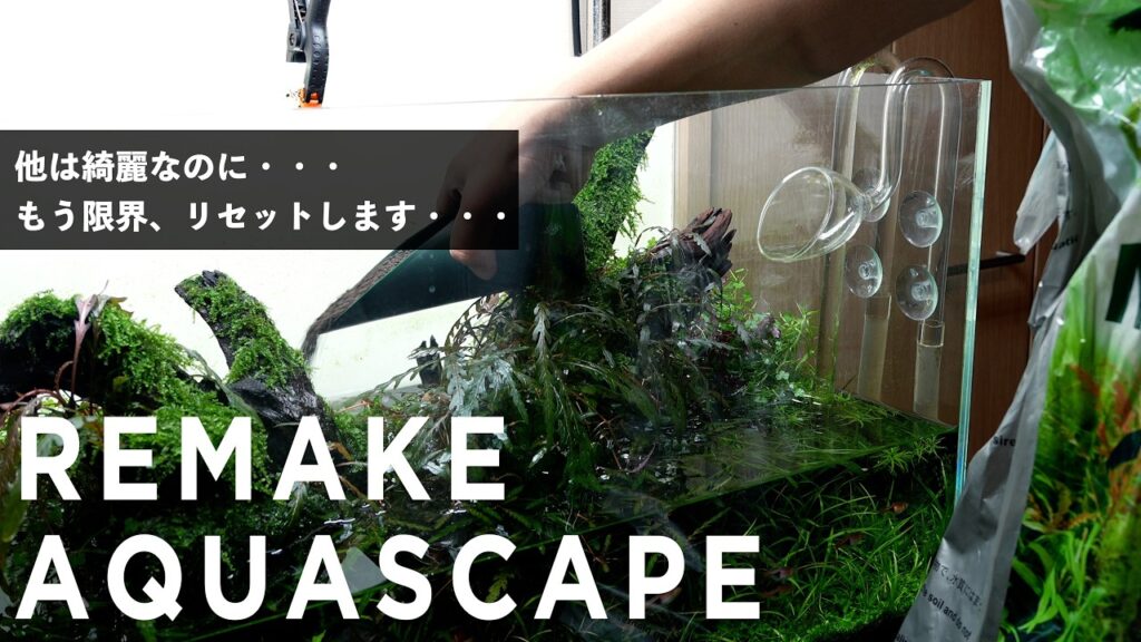 60cmaquascape-aquarium-ada-