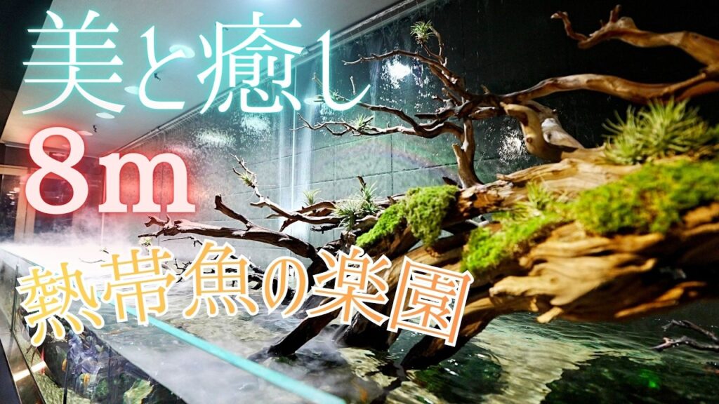 8mcafe-aquarium