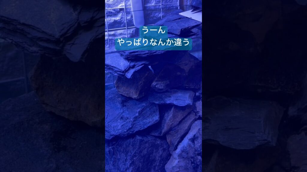 unnamed-file-24