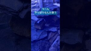 unnamed-file-24