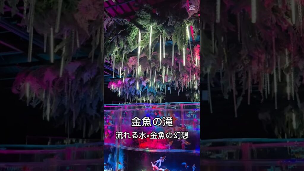 unnamed-file-8