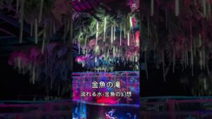 unnamed-file-8