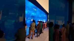 water-falls-Dubai-Mall-Walking-Tour-shorts-shortsfeed-ytshorts-trending-dubaimall-yt