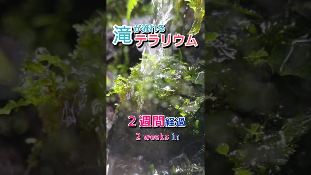 2-