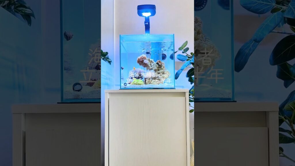 30-aquarium-nanoreef-reeftank
