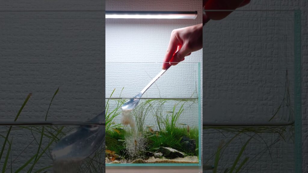 Aquarium-Soil-Sand-Separation-Tips-aquascape-