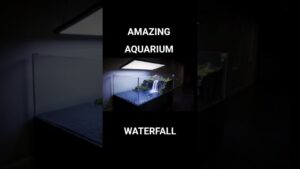 INSPIRASI-AQUASCAPE-WATERFALL