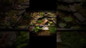 Relaxing-Turtle-Swimming-in-Mini-Waterfall-Tank-Soothing-Water-Sounds