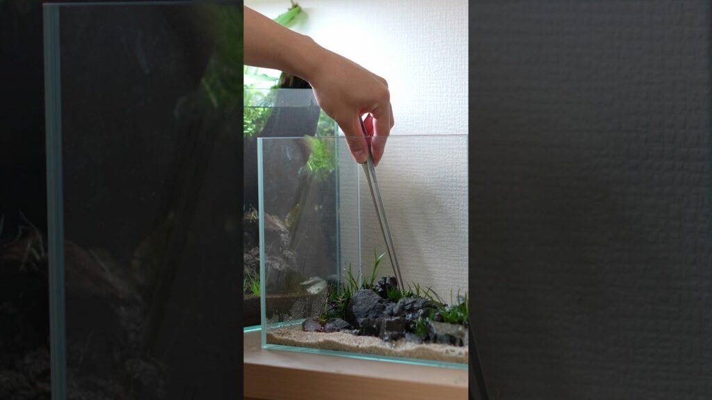 Short-ver.-aquascape-