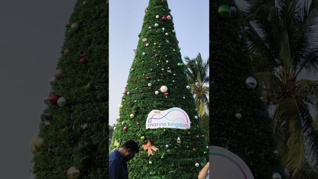 VGP-Marine-Kingdomwaterfallfishfishingfishingvideoaquariumaquariumfishmarinekingdomtravel