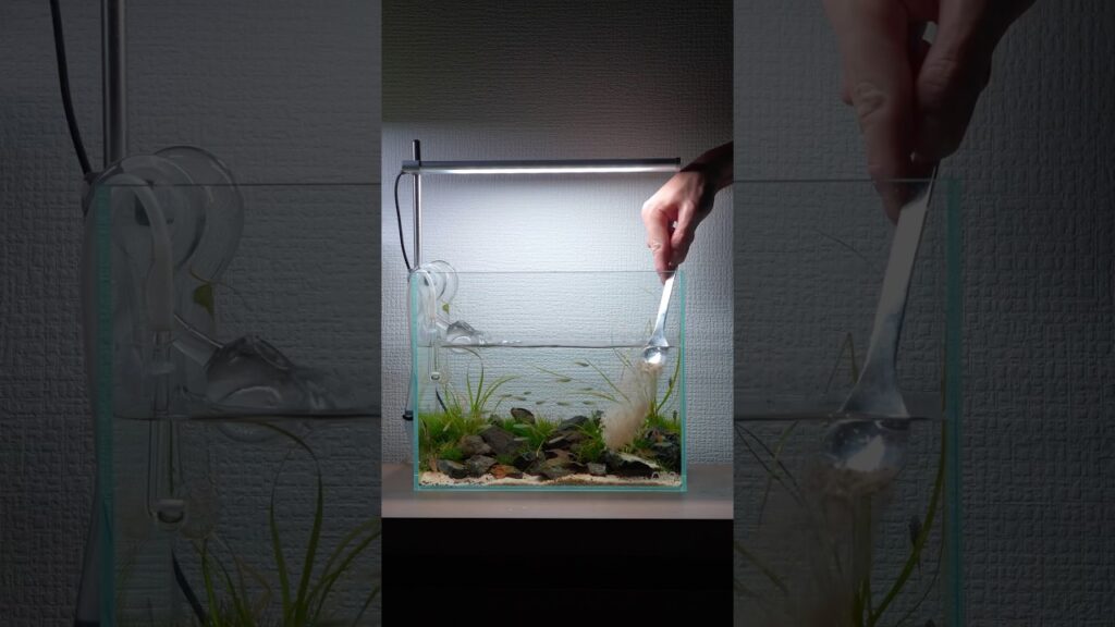 aquascape-