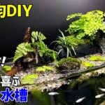 【100均DIY】メダカが喜ぶ！ダイソーで癒しの【湧き水 水槽】を再現！ミニ ビオトープの作り方【アクアリウムDIY】【テラリウム】【ジオラマ】