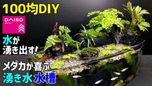 100DIY-DIY