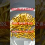 2026年、初心者さん必見！比較的、安価で購入できる！飼育場を輝かせるメダカご紹介します！ #改良メダカ #アクアリウム