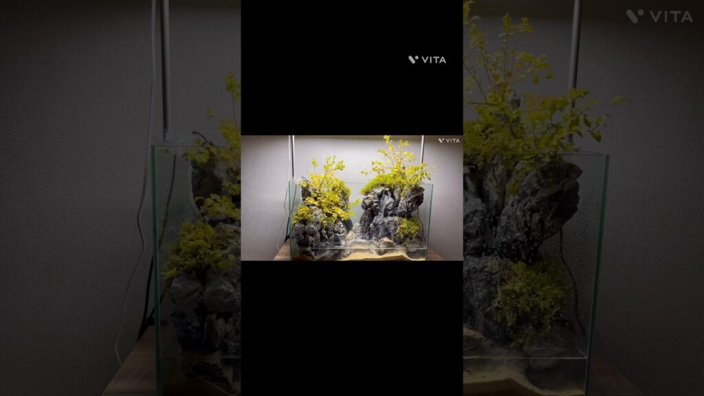 60-terrarium-aquarium
