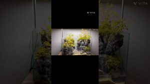 60-terrarium-aquarium