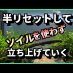 【60cm水槽】リセットしていく