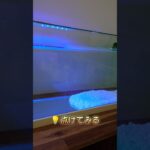 900スリム水槽を衝動買いして、どうしたら良いか困ってる動画😅