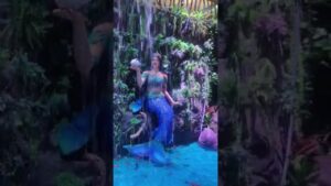 Aquariam-Paradise-bangalore-shorts-viralshort