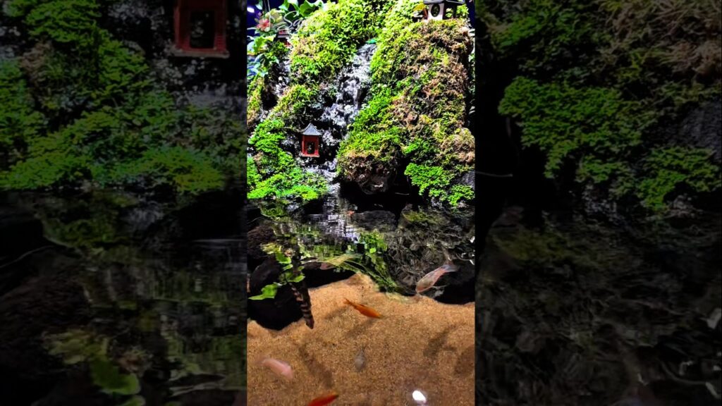 Mini-Waterfall-Aquascape-Relaxing-Nature-Aquarium-with-Fish-