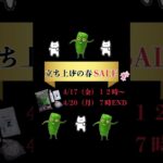 ローキーズネオ立ち上げの春SALE #シュリンプ #シュリンプ飼育 #アクアリウム #エビ飼育 #初心者向け #アクアリウム初心者 #水槽立ち上げ #観賞用シュリンプ #シュリンプ水槽 #四国めたん