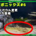 アクアポニックス カマツカ追加&水槽レイアウト変更 | 小さな地球 Small World – ep6 地殻変動