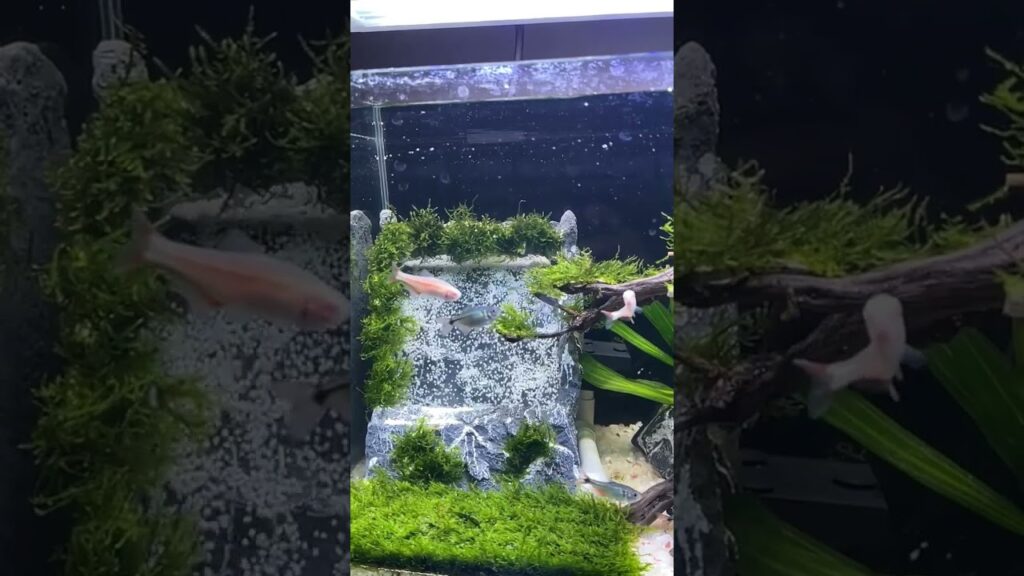 aquarium-sand-waterfall