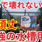 【知らないと損します！】水槽管理のプロが選ぶ、長持ちする水槽用品を教えます！