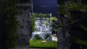 waterfall-decoration-for-tank