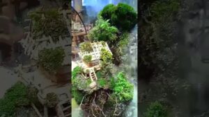 waterfall-terrarium