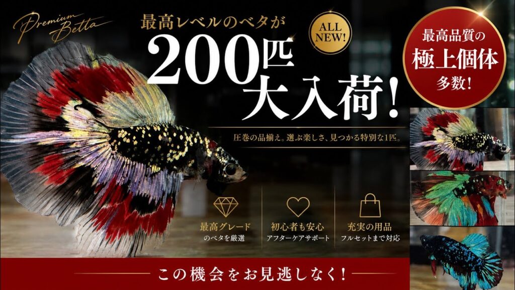 200