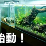 あの45cm水槽、ようやく動かします　【アクアリウム】