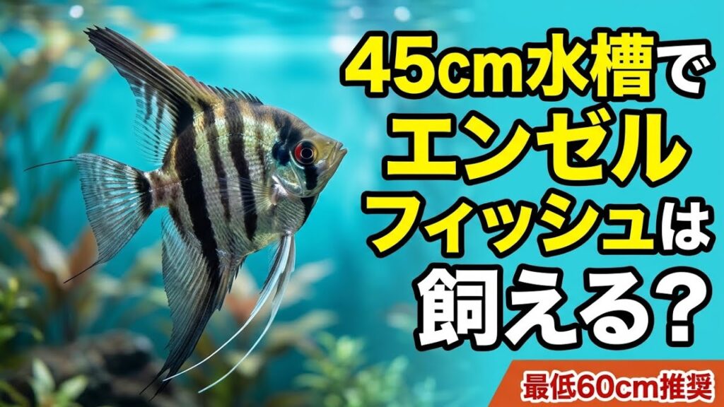45cm
