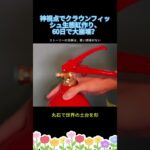 神視点でクラウンフィッシュ生態缸作り、60日で大崩壊？ #アクアリウム #水槽レイアウト #生態系 #エコシステム #水草水槽