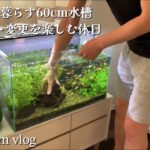 60cm水槽のレイアウトを変える休日vlog | アクアリウムのある暮らし (CC)