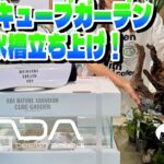 【アクアリウム】ADAキューブガーデンで立ち上げる陰性水草レイアウト水槽（流木組みは置くだけシステムを使用して初心者でも維持管理が出来ます）