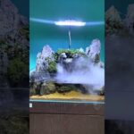 Beautiful waterfall #homedecor #fyp #shorts #reels #pheakku_betta