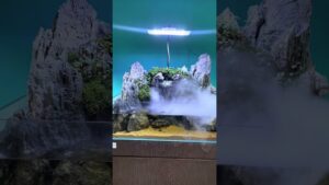Beautiful-waterfall-homedecor-fyp-shorts-reels-pheakku_betta