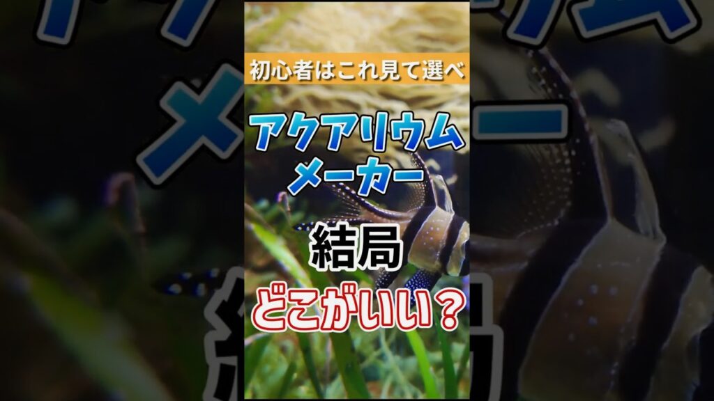 GEX-Tetra-