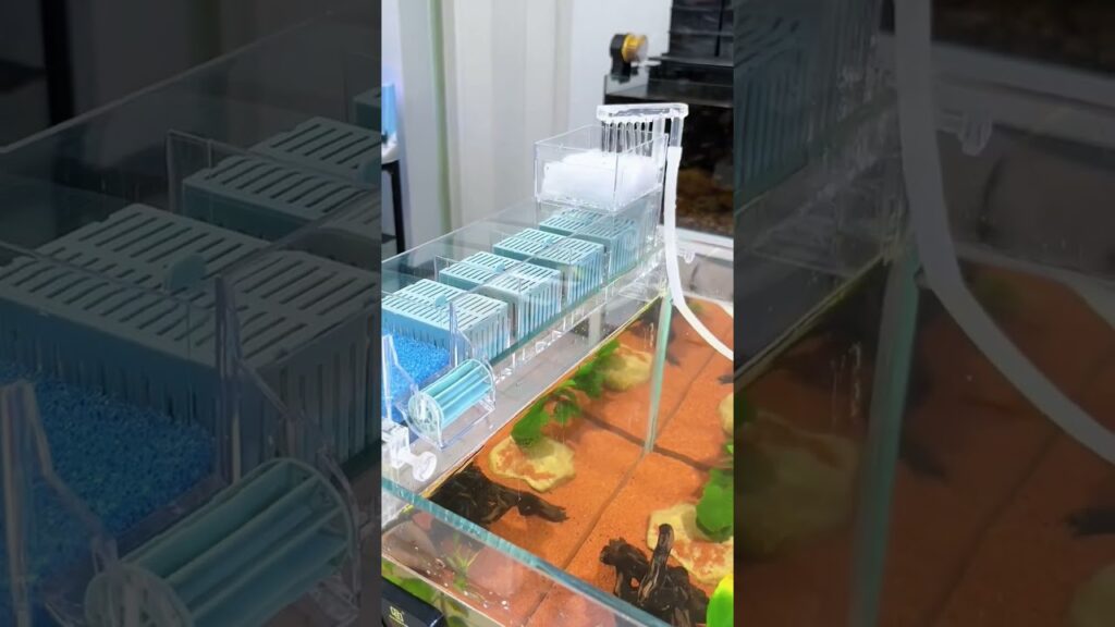 High-Value-Wall-Mounted-3-in-1-Waterfall-Filter-aquarium-easyfishkeeping-aquascape-aquariumfans