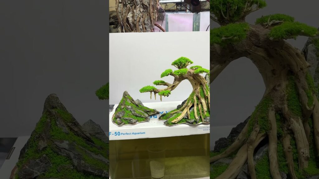 Layout-bonsai-thac-do-happyaqua-aquarium-layoutthuysinh-decor-trangtri