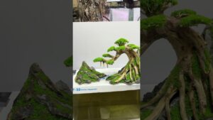 Layout-bonsai-thac-do-happyaqua-aquarium-layoutthuysinh-decor-trangtri