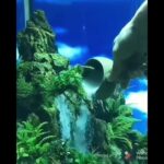 Mind-Blowing Underwater Waterfall Illusion Revealed! #shorts