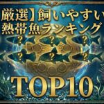 【初心者必見】飼育しやすい熱帯魚ランキングTOP10！を徹底解説。全滅を回避し水槽を地獄に変えない最強のサバイバーたちとは？【アクアリウム成功の秘訣】＃熱帯魚　＃水槽