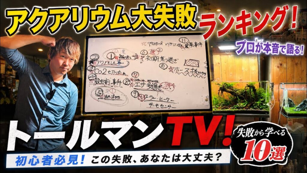 TOP10TV