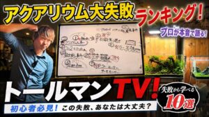 TOP10TV
