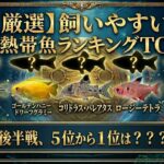 【初心者必見】飼育しやすい熱帯魚ランキングTOP5！ついに不動の第1位を公開。熱帯魚の王道から日本が誇る最強種まで、貴方の水槽を天国に変える究極の精鋭たちとは？【アクアリウムの真髄】