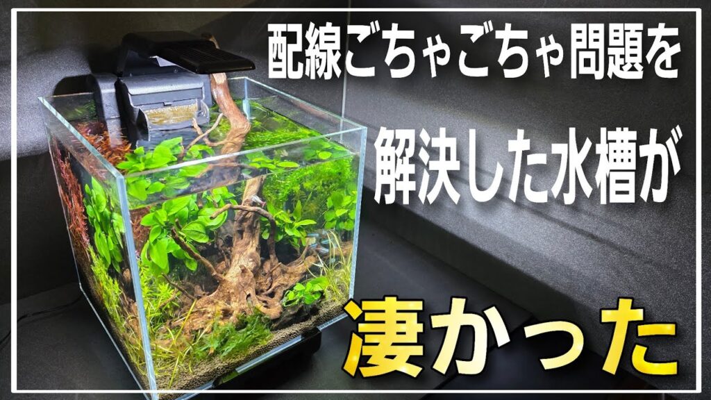 aquarium
