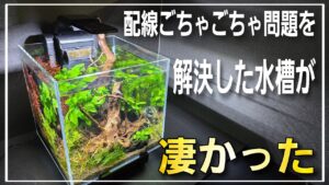 aquarium