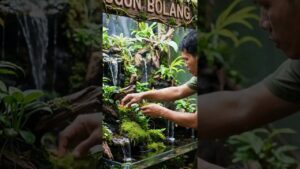 pembuatan-akuascep-hutan-hujan-alami-waterfall-waterfall-aquariumairterjun
